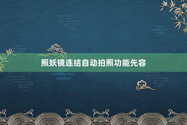 照妖镜连结自动拍照功能先容