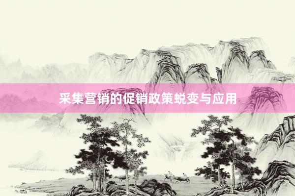 采集营销的促销政策蜕变与应用